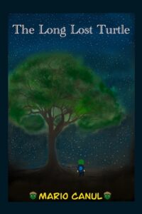 The Long Lost Turtle (Paperback)